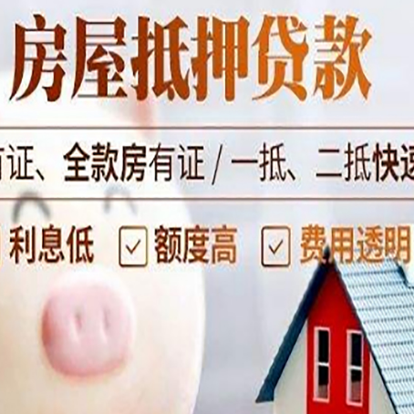 布拖贷款助贷公司新渝启服成立时间久